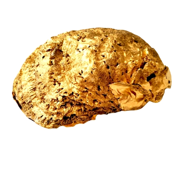 Versace style hand made oyster shell - Picture 5 of 6